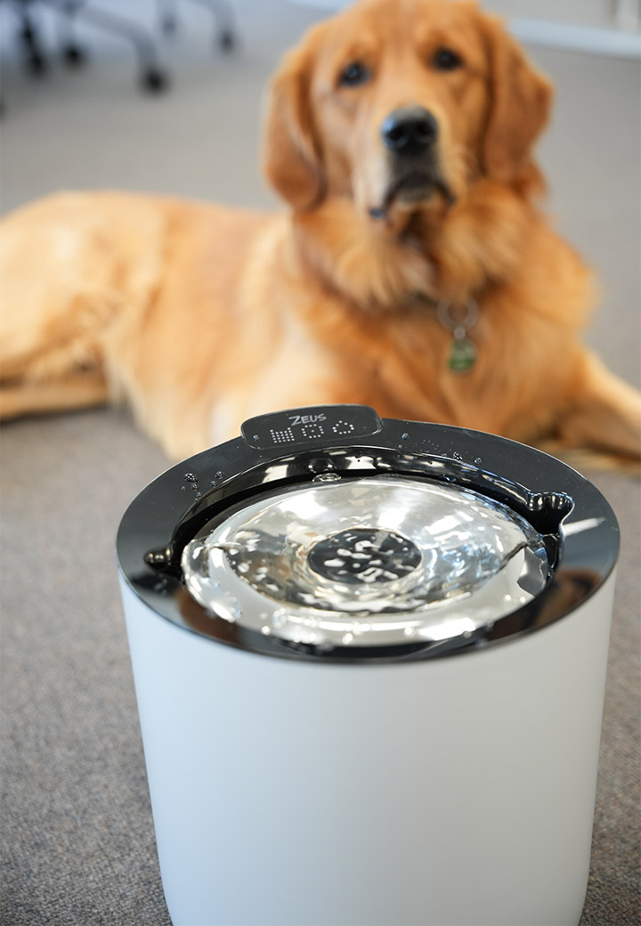 Zeus Oasis plus smarter Trinkbrunnen f�r Hunde Bild 3