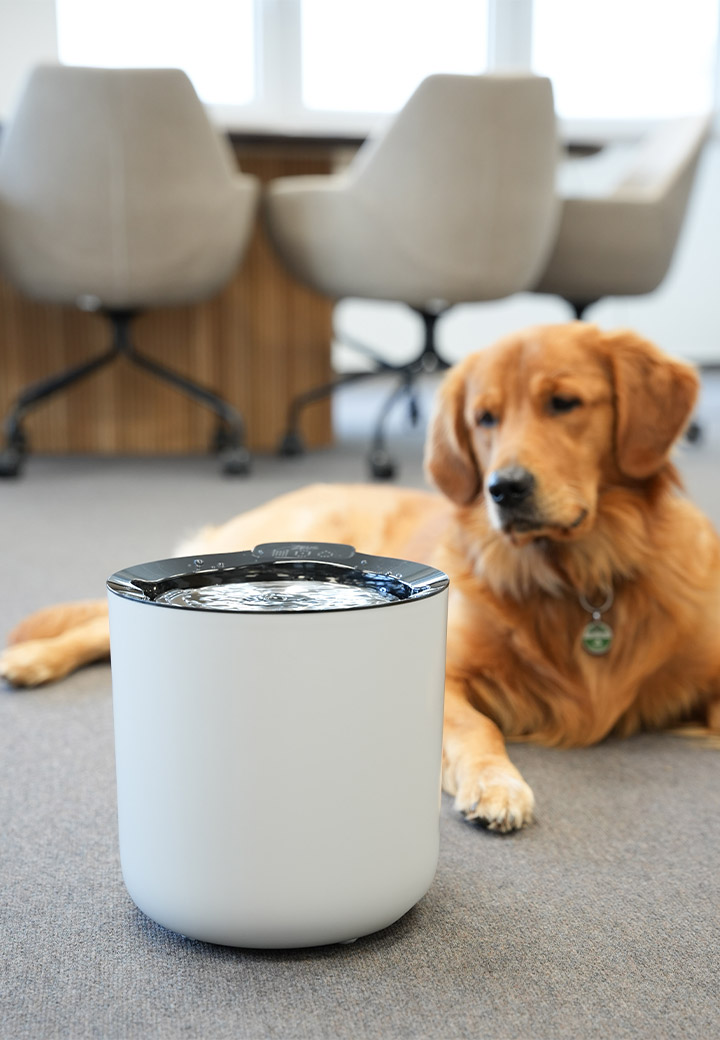 Zeus Oasis plus smarter Trinkbrunnen f�r Hunde Bild 4