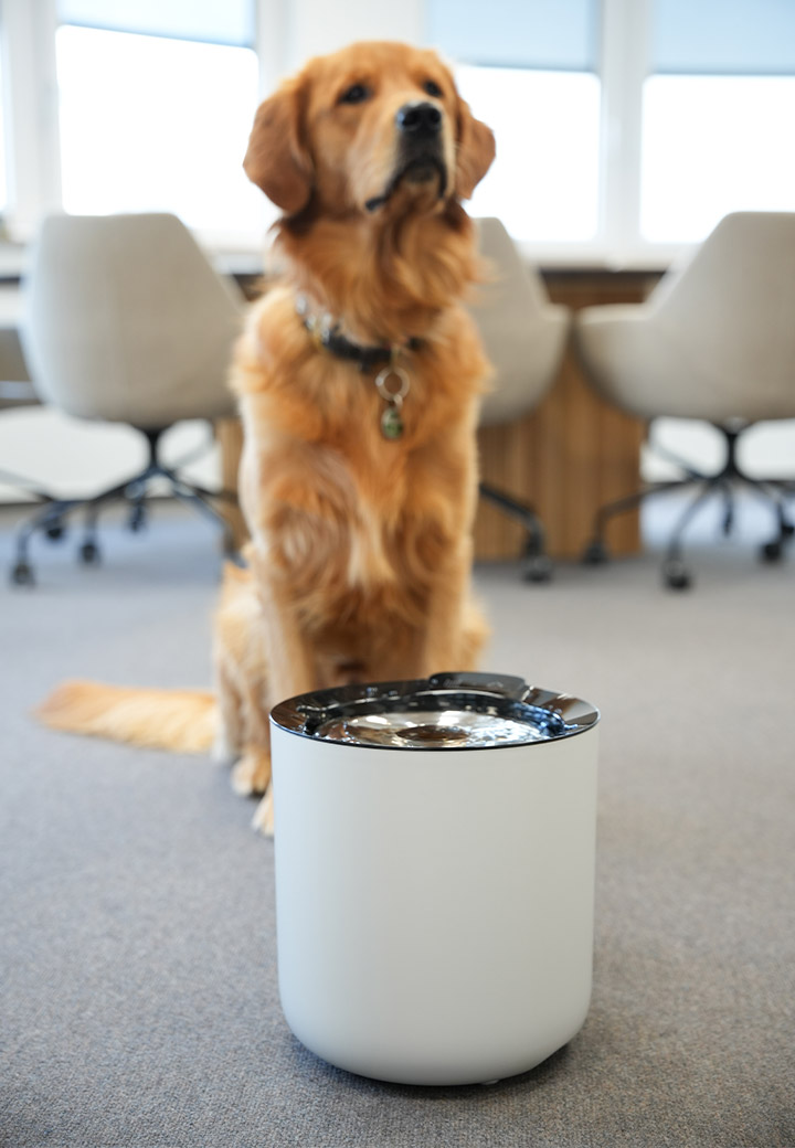 Zeus Oasis plus smarter Trinkbrunnen f�r Hunde Bild 5