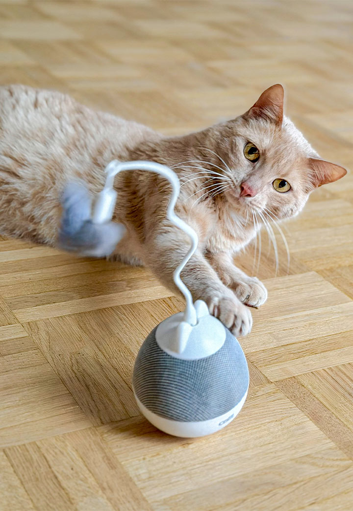 Catit Pixi Spinner silber