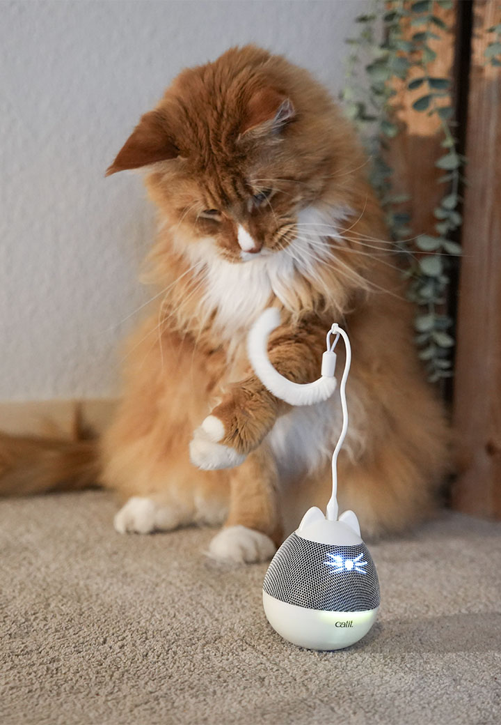 Catit Pixi Spinner silber Bild 4