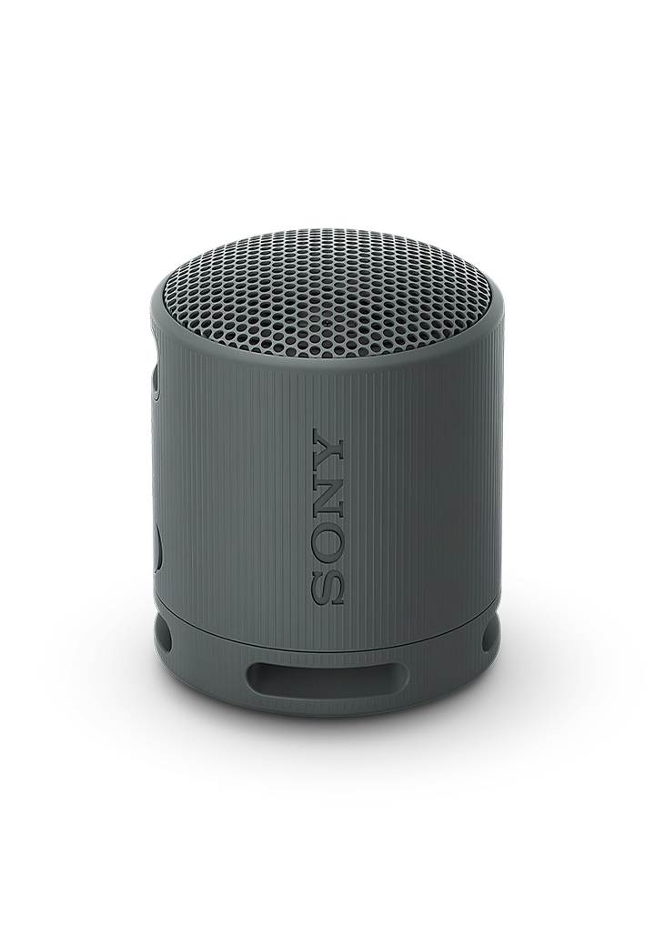 Sony SRS-XB 100 Lautsprecher Bild 3