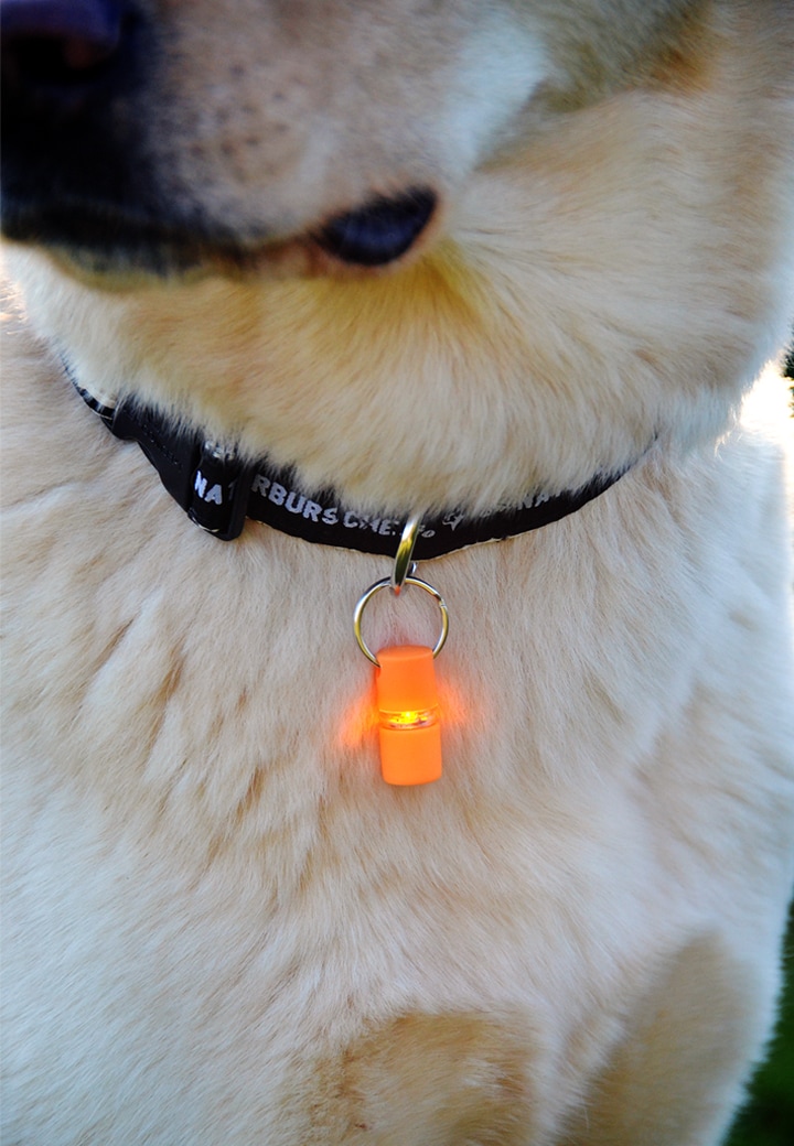 B�Seen 360° Leuchtanhänger Für den Hund