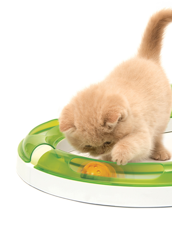 Catit Senses Play Circuit Bild 3