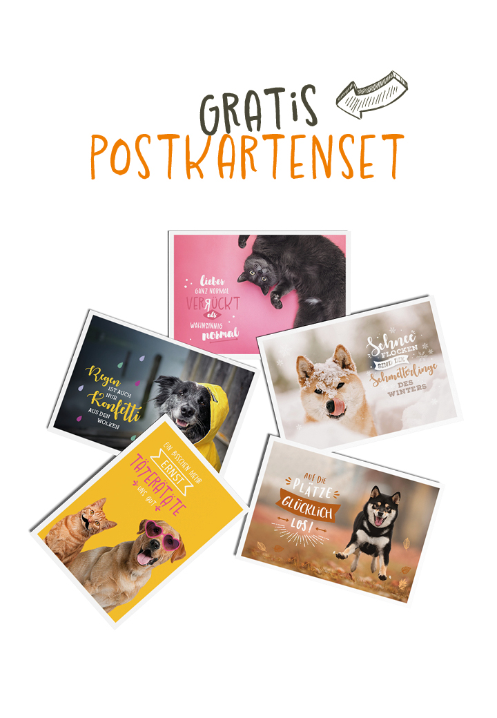 Vet-Concept Postkartenset
