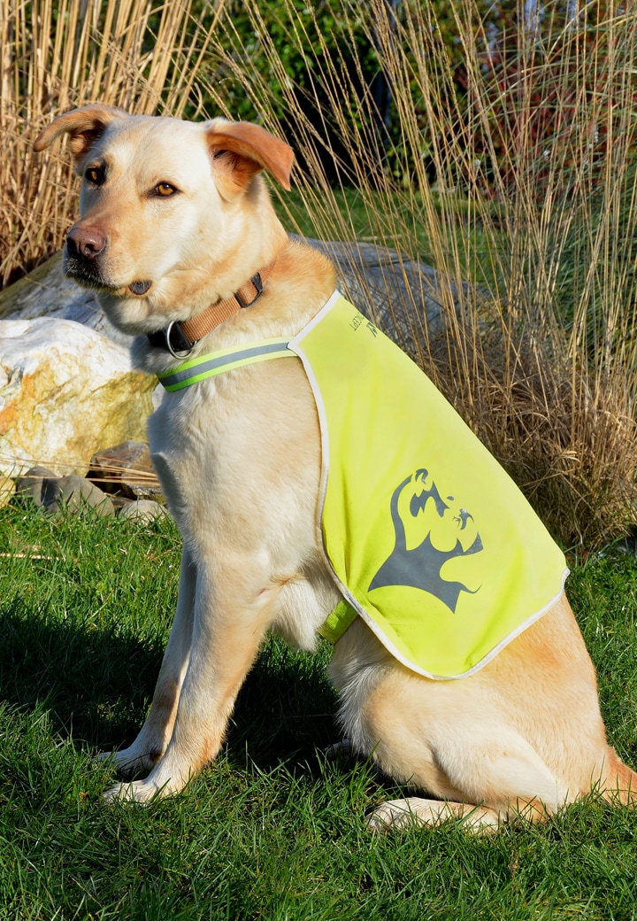 Vet-Concept Warnweste Hund