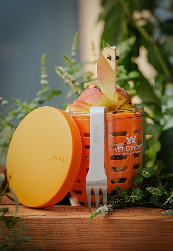 Vet-Concept x Mepal Fruitpot Ellipse 600 ml