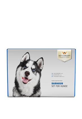 Darmaktivierungsset fr den Hund