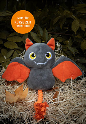 Fledermaus Franzi