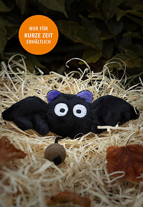 Fledermaus Josy