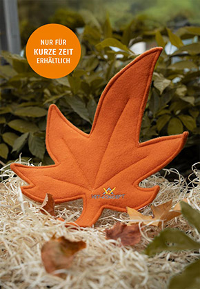 Herbstblatt orange