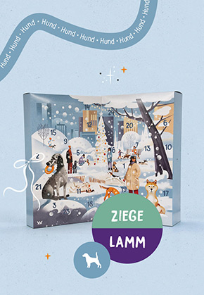 Hunde Adventskalender Ziege Lamm
