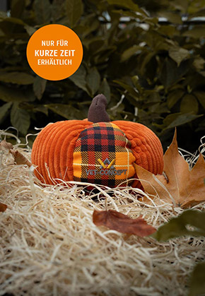 Kuerbis gro