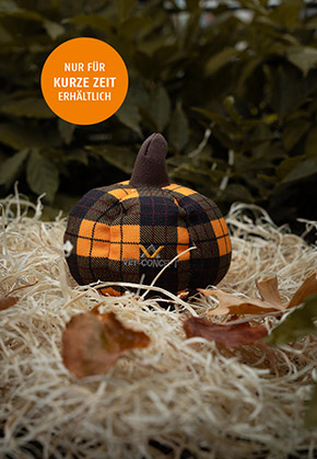 Kuerbis klein