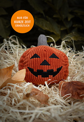 Kuerbis mit Gesicht