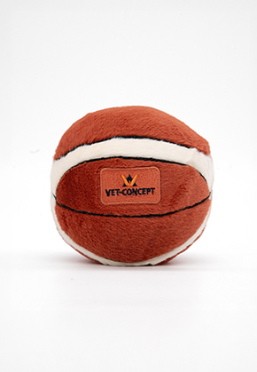 Pl�sch-Basketball