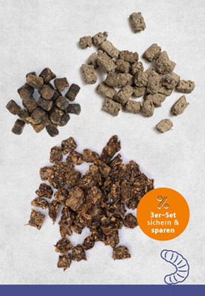 Snack-Bundle-Hund HERMETIA