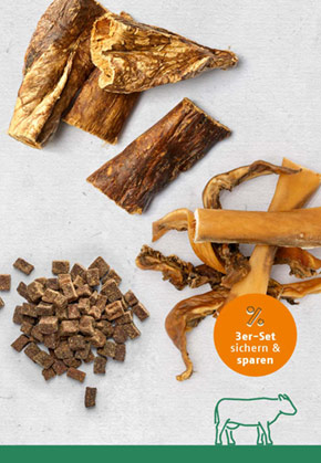 Snack-Bundle-Hund RIND