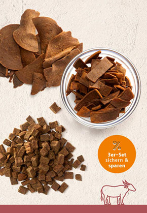 Snack-Bundle-Katze B�FFEL