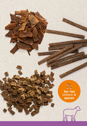 Snack-Bundle-Katze LAMM