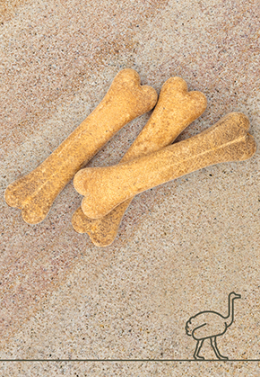 Straussen-Knochen, 3 Stk. a 12 cm, 15 cm