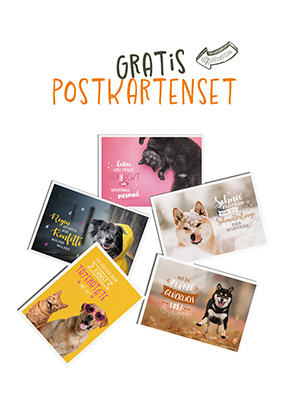 Vet-Concept Postkartenset